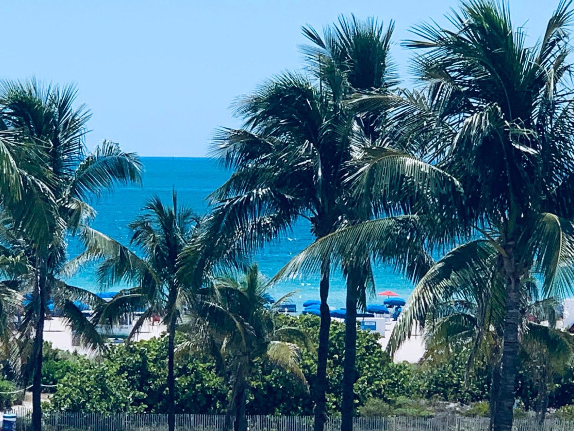 Beachfront Ocean Dr White Sand Paradise Sobe 311 Miami Beach Luaran gambar